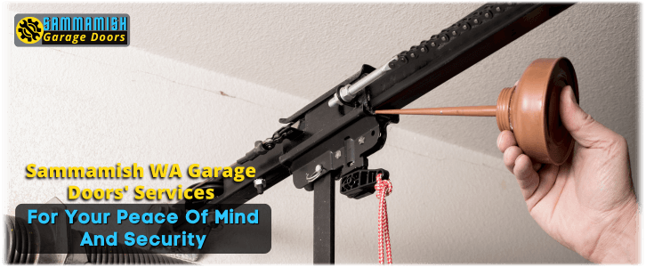 Garage Door Maintenance Sammamish WA